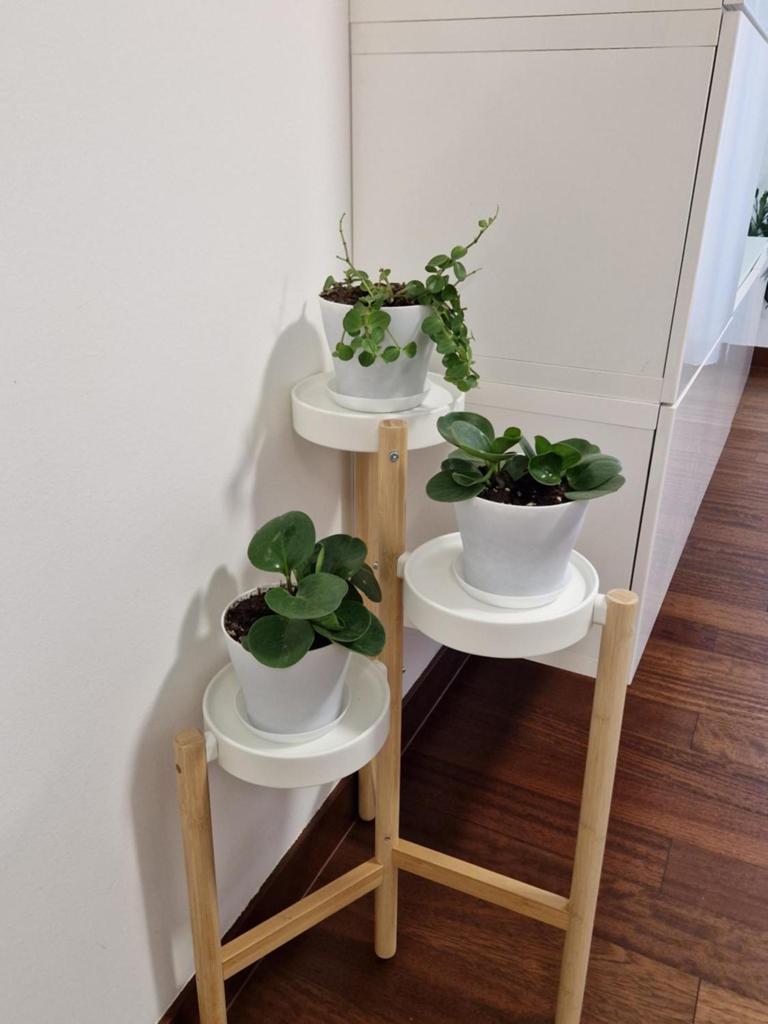 Appartamento La Casa Di Vale Muse Trento Esterno foto